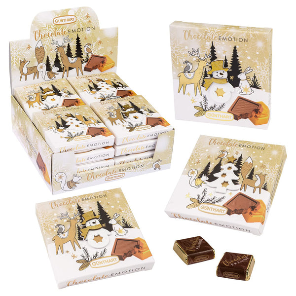 Günthart 16 Stück Pralinen Wintergeschenk Mit Verschiedene Motiven, Präsente Mit Schokolade, 1Er Pack (608 Gr)