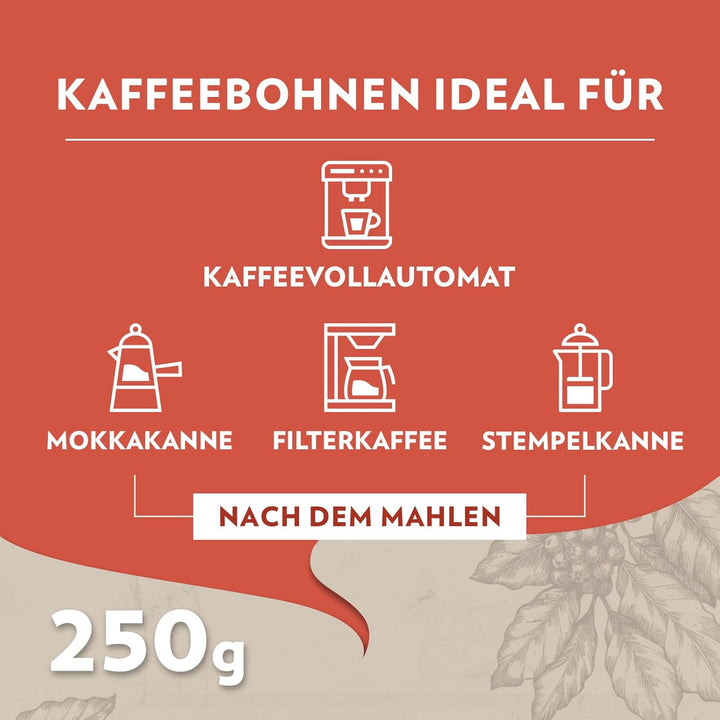 Lavazza, Tales of Roma, Kaffeebohnen, Ideal Für Espresso-Kaffeemaschinen, Mit Aroma Noten Von Haselnuss & Dunkler Schokolade, Arabica Und Robusta, Intensität 8/10, Mittel Röstgrad, 250 G