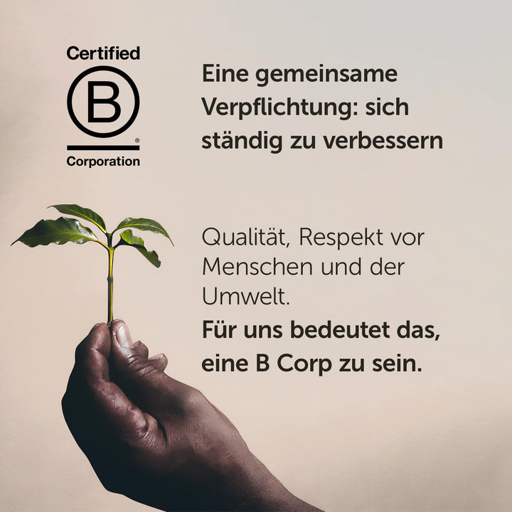 Illy Arabica Selection Brasile Cerrado Mineiro Kaffeebohnen: Zu 100% Aus Zertifiziert Regenerativem Anbau – 250G Dose