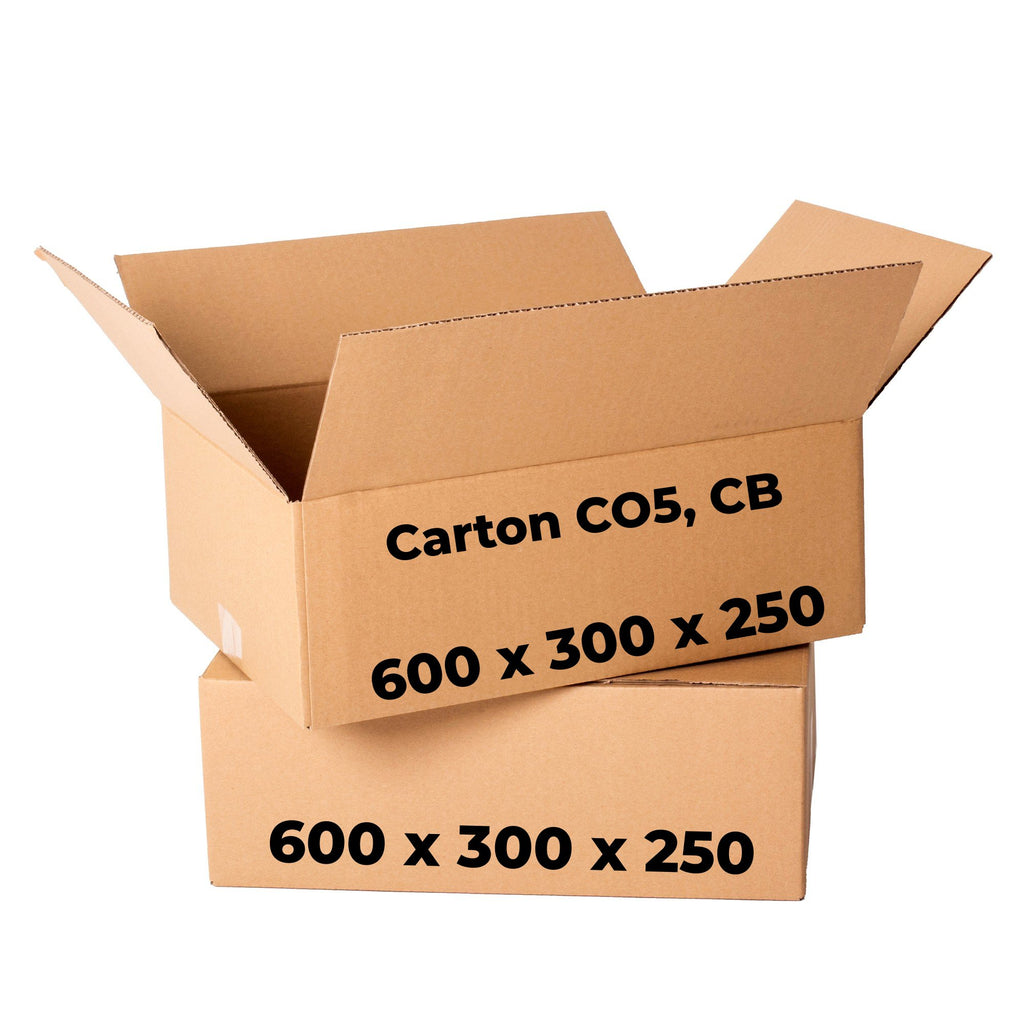 Set 20 cutii carton CO5, CB, 600 x 300 x 250 - Nati Shop