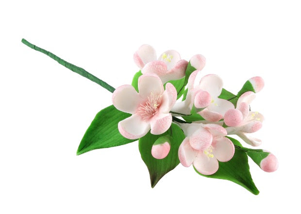 Edible sugar decoration, Twig with apple flowers